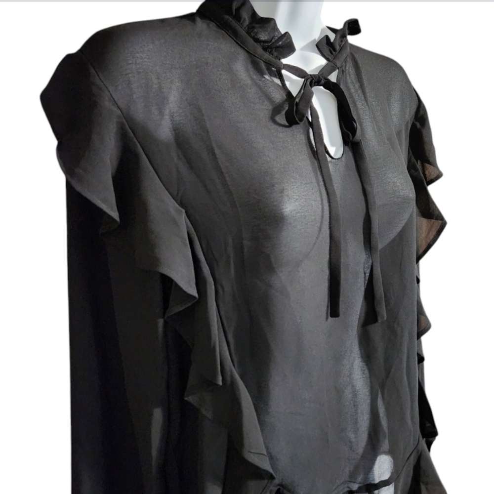 NWT Anna Cai Mesh Sheer Ruffle Top - Picture 2 of 4